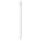 Apple Pencil(USB-C) (기본 지원, 충전 탑재형)