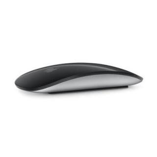 Apple Magic Mouse(USB-C) 블랙 Multi-Touch 표면