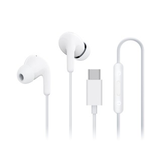 Xiaomi Type-C 유선 이어폰 (12.4mm 드라이버, HD 마이크, 플러그앤플레이)