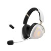 ROG 델타 II-KJP 게이밍 헤드셋 (50mm 티타늄, 트라이모드, 110시간, 318g, 코지마 콜라보)
