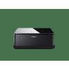 Bose 뮤직 앰프