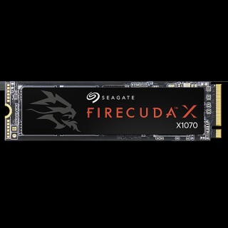 씨게이트 FireCuda X1070 Gaming SSD 1TB (PCIe Gen4 게이밍 내장)